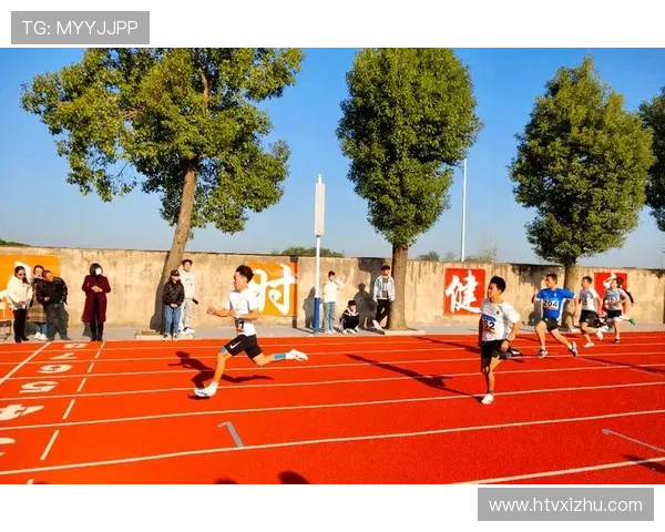 城市赛特别报道：TES团队的拼搏历程与荣耀时刻回顾