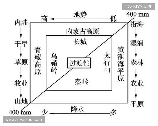 广州极限运动队运营分析：成功经验与面临挑战的深度探讨