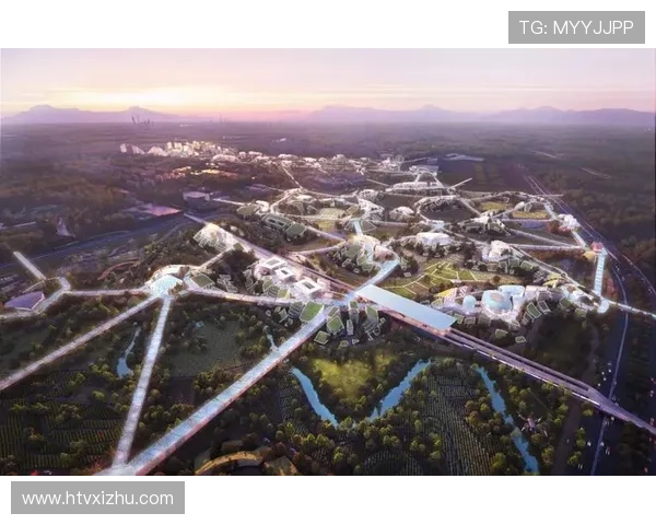 成都排球队的转型之路与未来发展趋势深度解析